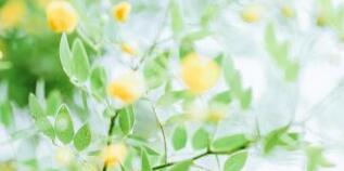 廣西千年傳說榮斌簡(jiǎn)歷，杜婷高管領(lǐng)導(dǎo)班子有哪些成員