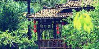 廣西廣投文化旅游公司梅以軍簡(jiǎn)歷，廣西廣投文旅和廣西投資集團(tuán)啥關(guān)系？