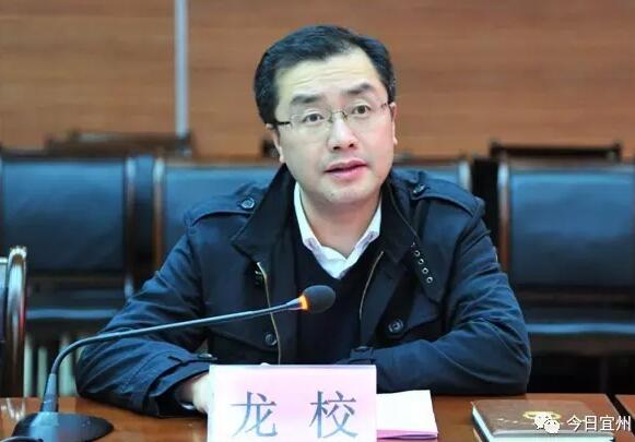 龍校簡(jiǎn)歷：欽州市副市長(zhǎng)、公安局局長(zhǎng)龍校，曾任玉林市副市長(zhǎng)、公安局局長(zhǎng)，羅棋權(quán)任廣西政法委副書記（羅棋權(quán)簡(jiǎn)歷）
