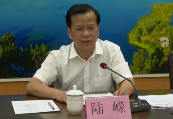 陸嶸簡(jiǎn)歷：河池市政府秘書長(zhǎng)陸嶸，曾任河池市人大秘書長(zhǎng)，鳳山縣委副書記、縣長(zhǎng)