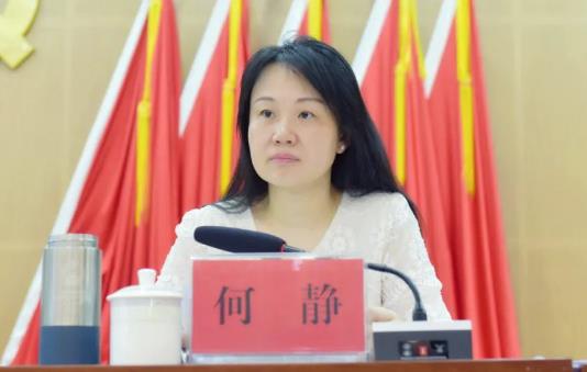 何靜簡(jiǎn)歷：桂林市投資促進(jìn)局局長(zhǎng)何靜，曾任秀峰區(qū)委常委、常務(wù)副區(qū)長(zhǎng)，秀峰區(qū)委常委、政法委書記